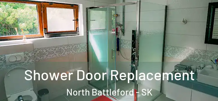 Shower Door Replacement North Battleford - SK